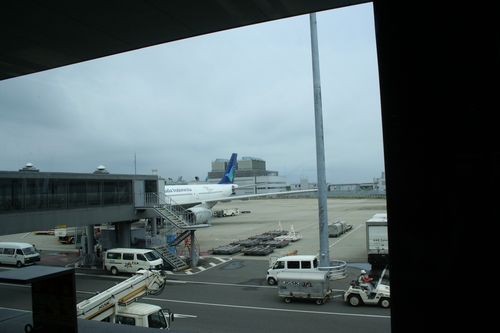 d0131006_1164187.jpg