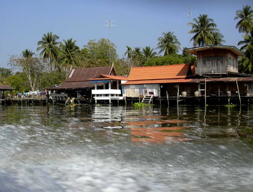 d0140806_1153292.jpg