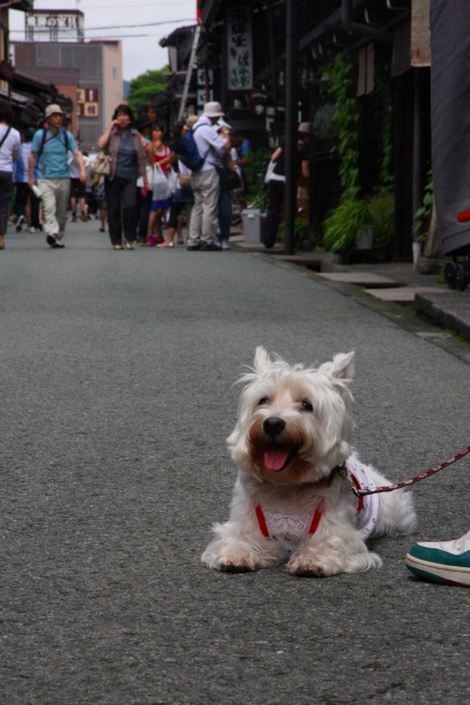 ２００９年夏の３泊４日旅行　最終日～飛騨高山　後編～_f0039907_19301313.jpg