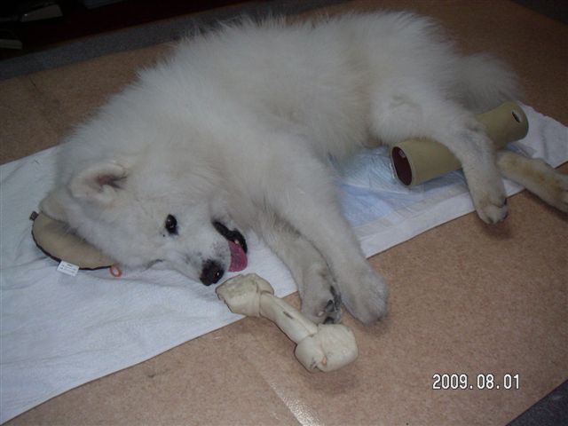 b0073110_015861.jpg