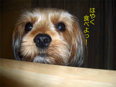 c0143711_22182353.gif