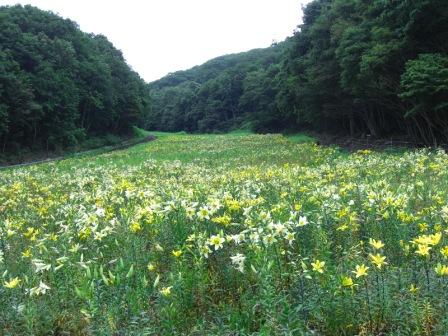 長野　2日目～_f0079212_17334156.jpg