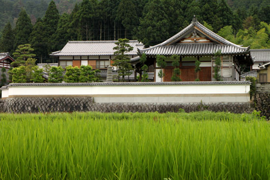 京都大原夏景色_e0048413_21453513.jpg