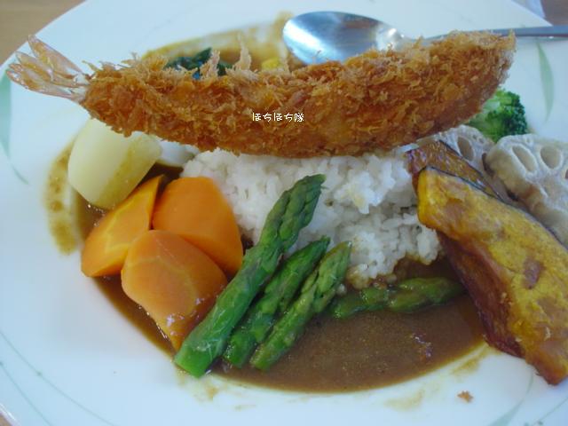 赤とんぼ　特製カレー_f0151213_041834.jpg