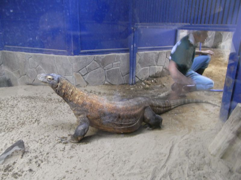 夜の動物園_c0025115_0172479.jpg