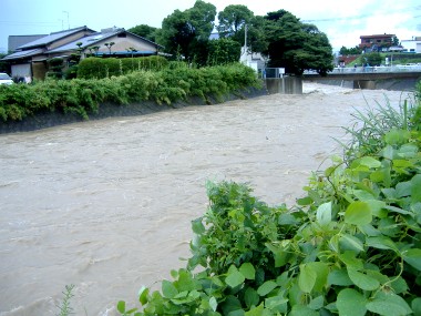 豪雨の一日 その2_e0029115_0768.jpg
