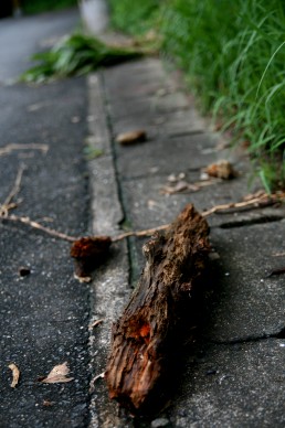豪雨の一日 その2_e0029115_23173580.jpg