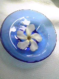 8月のサロンから_d0085018_17402386.jpg