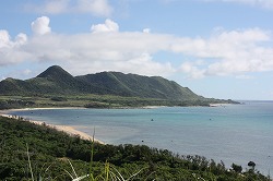 e0123718_156522.jpg