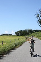 e0123718_171255.jpg