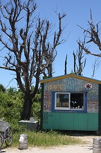 e0123718_1712564.jpg