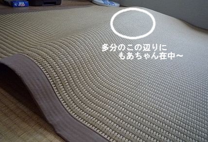 c0087521_1054938.jpg