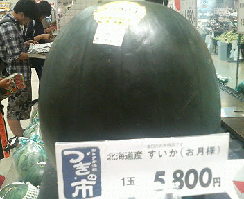 でんすけ?_e0124021_21125198.jpg