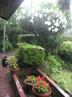 b0168823_22381657.jpg