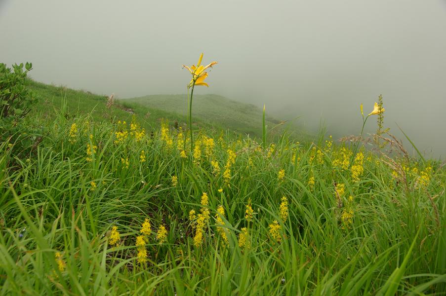 b0062024_7345464.jpg