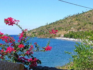 d0133225_11592521.jpg