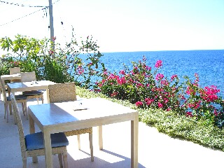 d0133225_125187.jpg