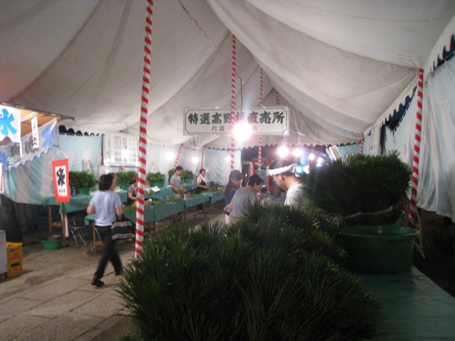 b0169330_1324246.jpg