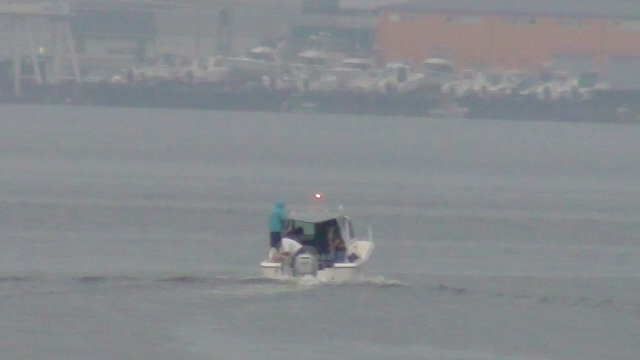 a0132631_18534548.jpg