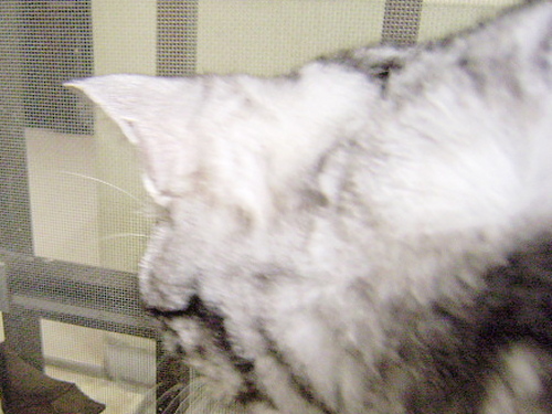f0175434_00895.jpg