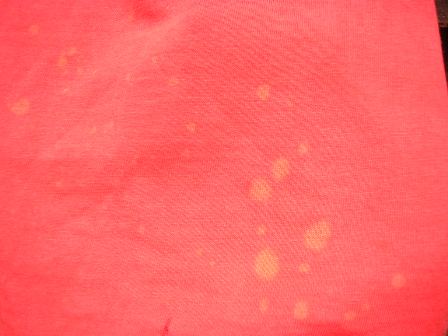 c0177238_15381844.jpg