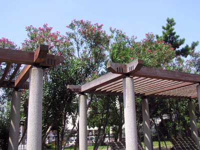 f0147840_2381177.jpg