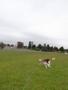 c0119142_22264121.jpg