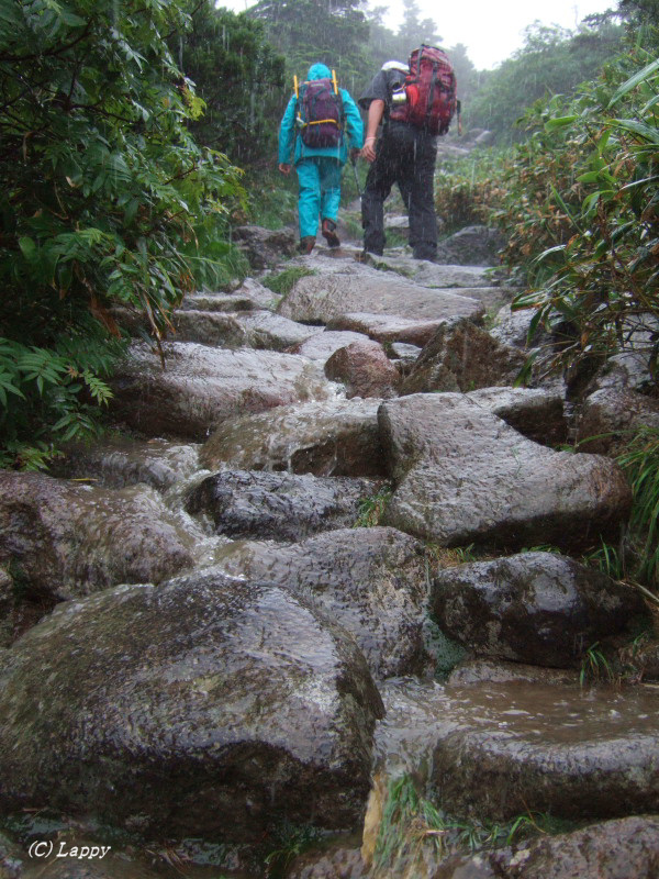 白山登山　一日目_d0135242_20343257.jpg