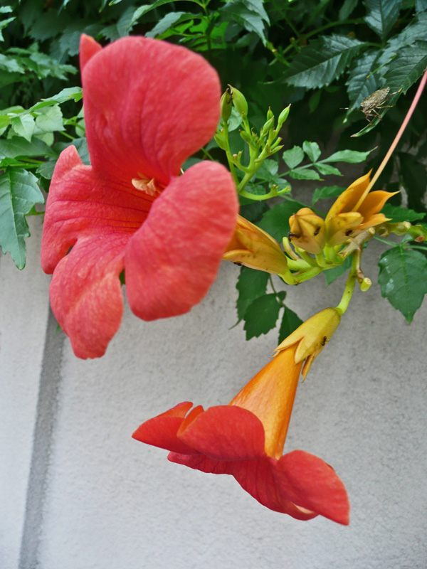 c0192843_726193.jpg