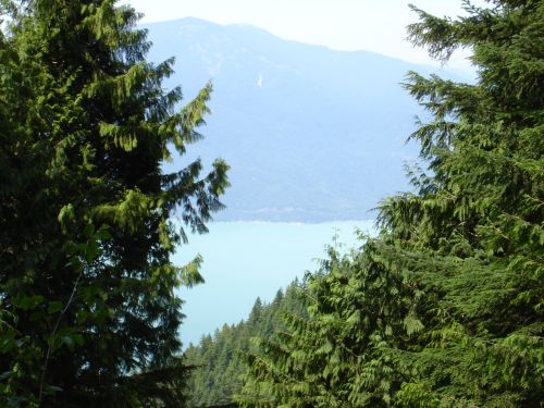 a0025444_550550.jpg