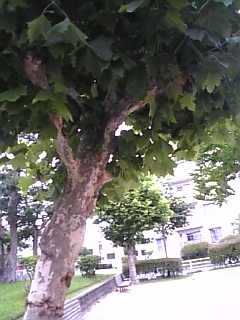 f0140145_21222559.jpg