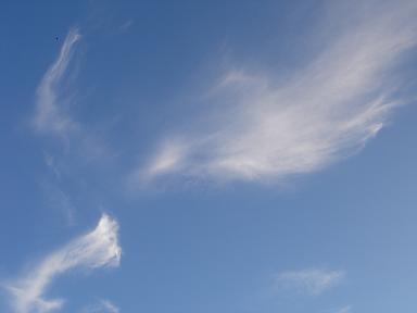 e0181047_21525957.jpg