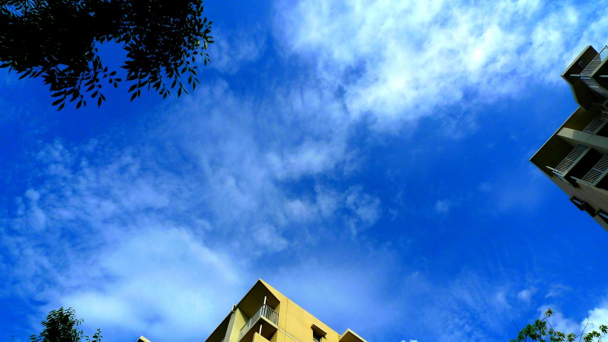 f0133847_21272079.jpg