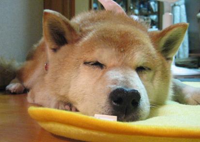 8月はしんみりスタート_c0049950_92521.jpg