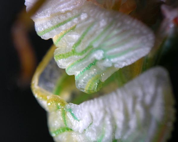 e0035757_15101833.jpg