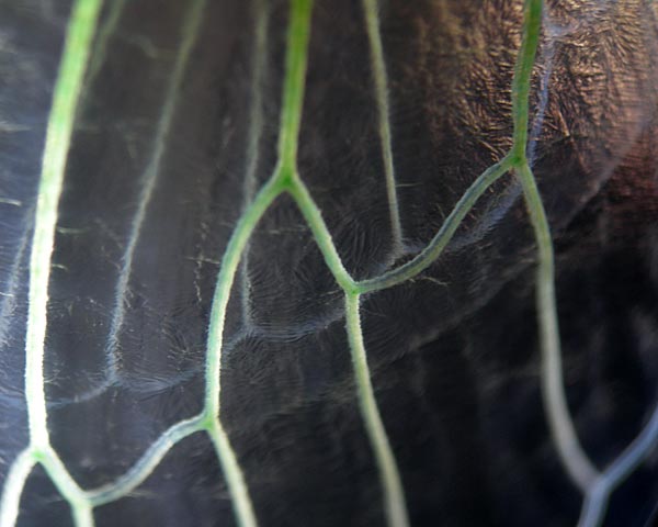 e0035757_15103097.jpg