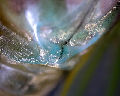 e0035757_1516468.jpg