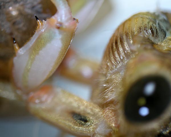 e0035757_15165719.jpg
