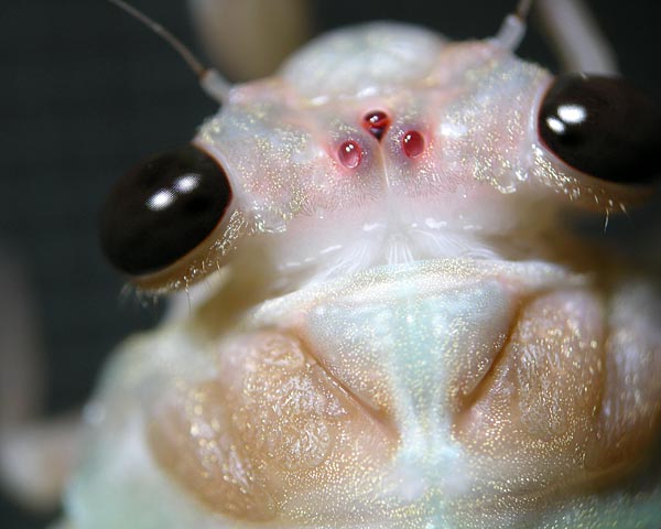 e0035757_15205593.jpg