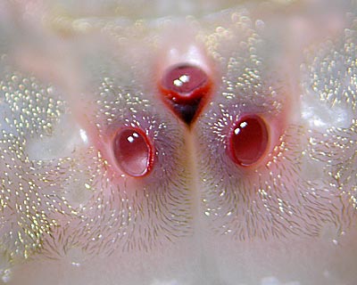 e0035757_15212073.jpg