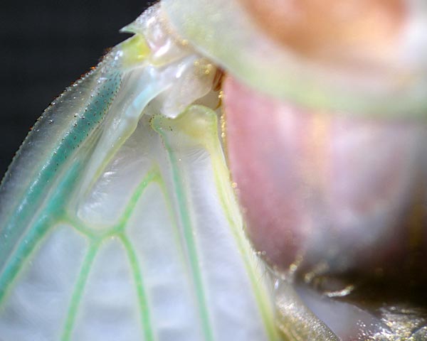 e0035757_15213534.jpg