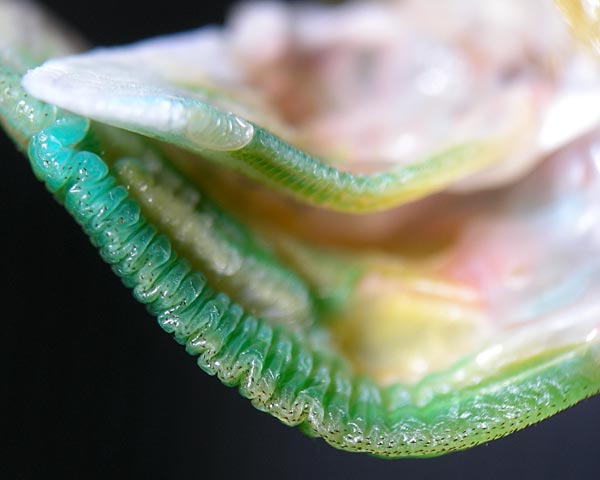 e0035757_1595474.jpg