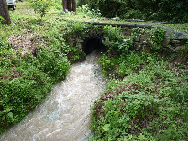 b0129962_18132582.jpg