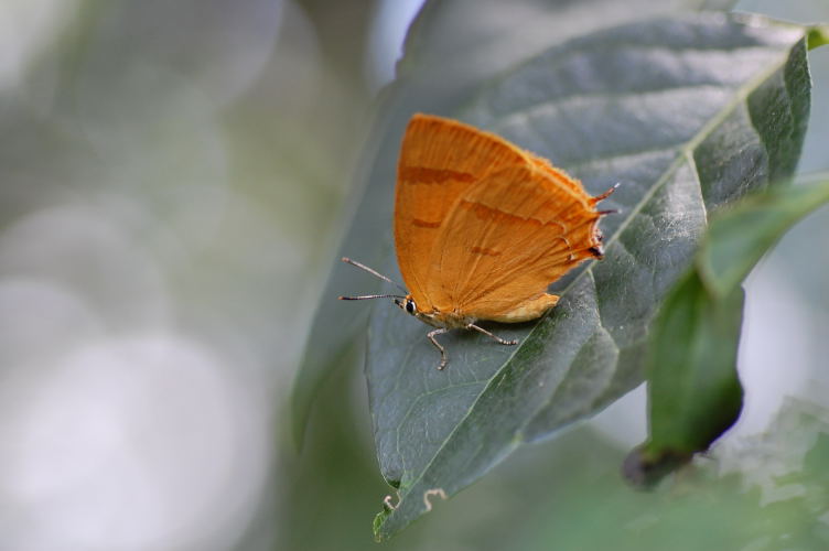 b0167762_14334878.jpg