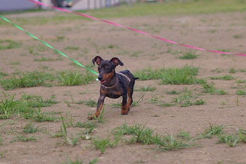 a0091865_22333310.jpg