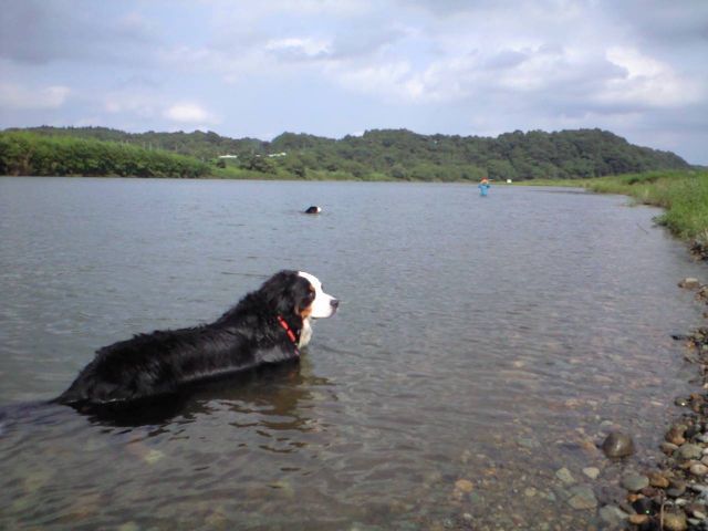 c0177668_21312483.jpg