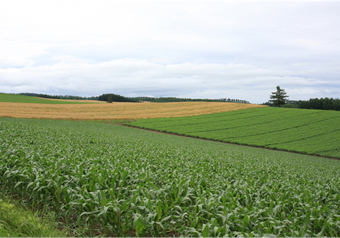 f0054868_2313683.jpg
