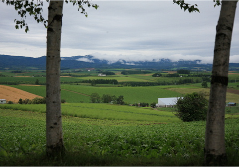 f0054868_23262362.jpg