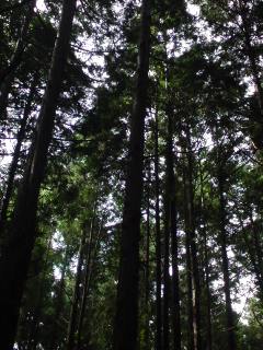 f0209080_3121961.jpg