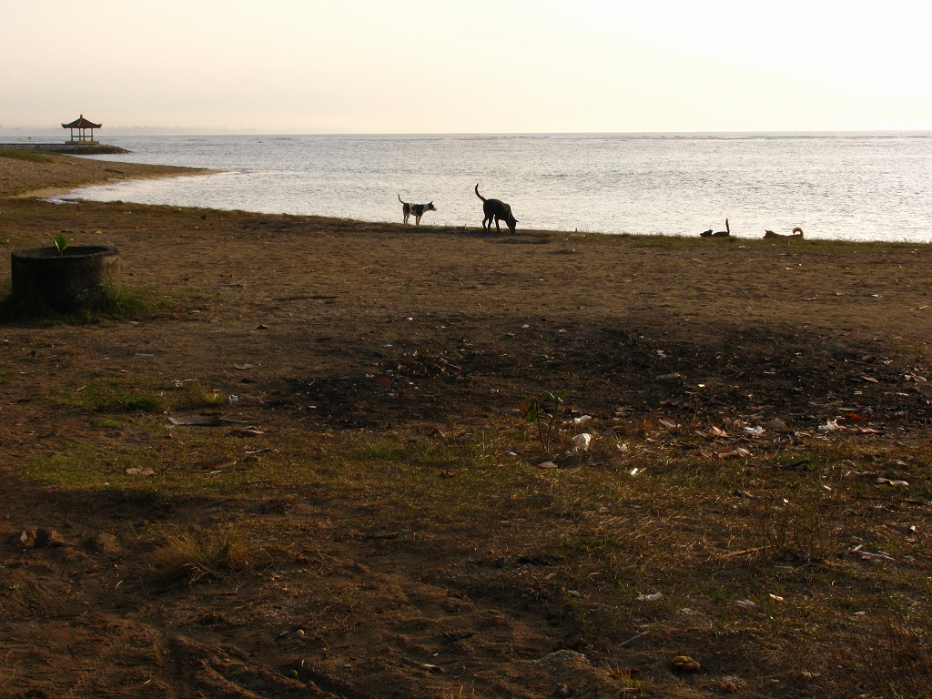 e0024081_12194957.jpg